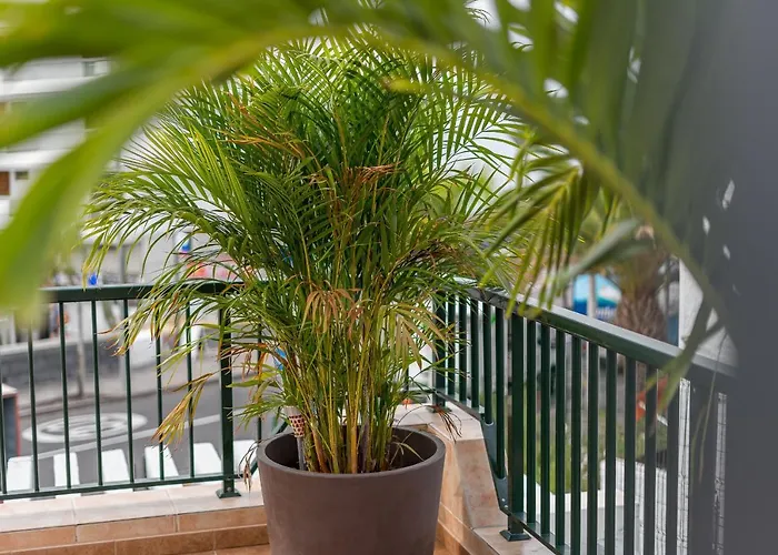 Bungamericas - Sea View Playa De Americas Apartman *