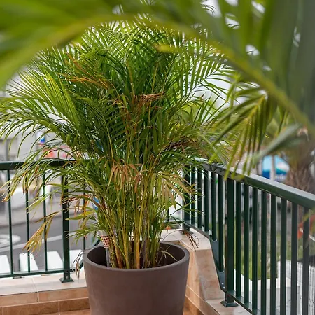 Bungamericas - Sea View Playa De Americas Apartment *